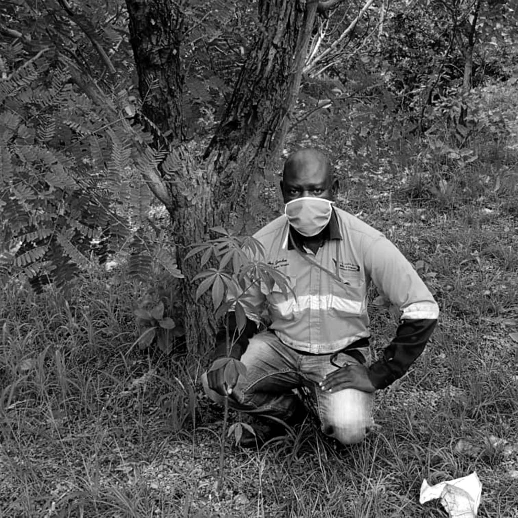 SMO Gold worker kneeling by tree