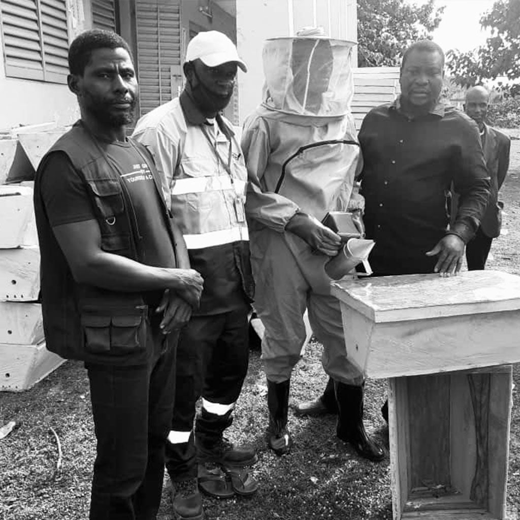 Yanfolia gold mine Western Africa bee keepers