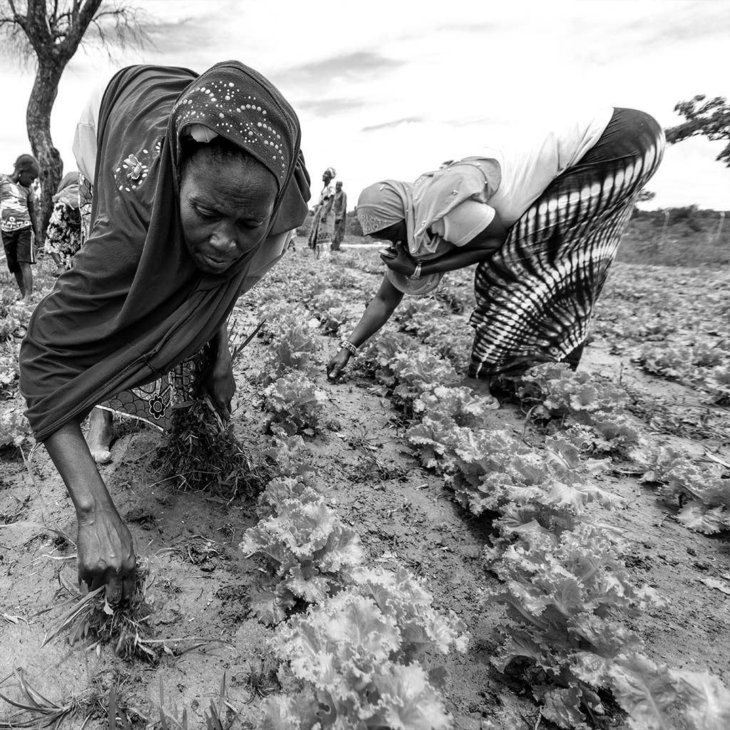 Women working in farming